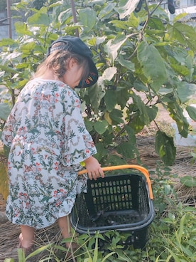 aoiさんのコーディネート