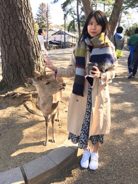 陳振馨さんのコーディネート