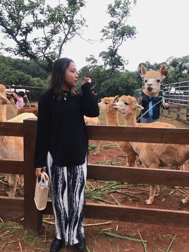 玫鈞さんのコーディネート