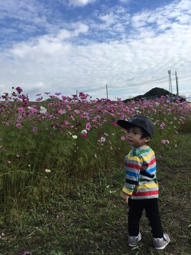 paruさん(キッズ・70cm)の秋コーディネート