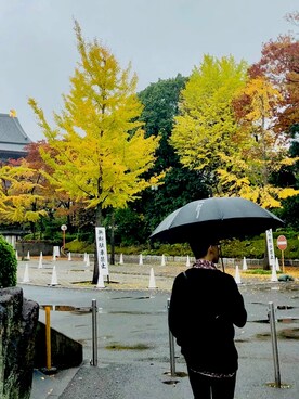 Brian chen さんのコーディネート