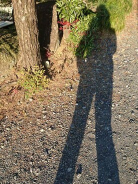 🌜++まき@ときめきぺいんたー++🌛さんのコーディネート