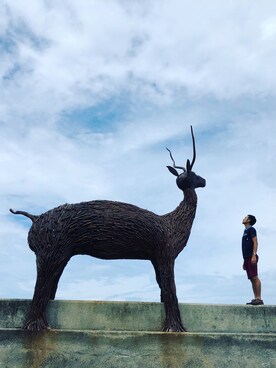 Tsai Yuanさんのコーディネート