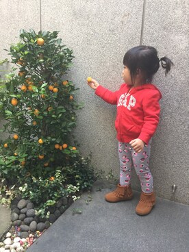 Lilyさんのコーディネート
