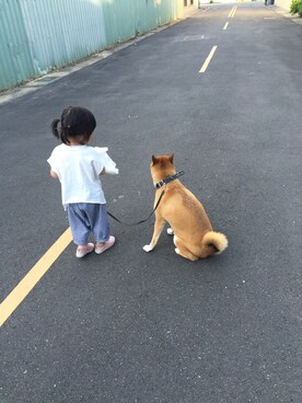 Lilyさんのコーディネート