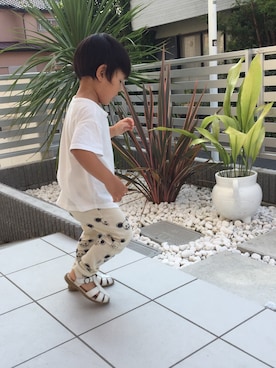「Mini Rodini（ミニロディーニ）のアイテム（レッグウェア）」を使った、Harutoさん（キッズ・90cm）の夏コーディネート