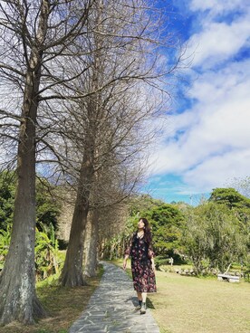 碧金さんのコーディネート