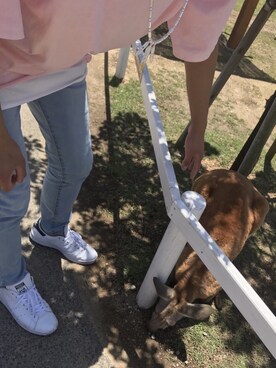 まーちーすかるさんのコーディネート