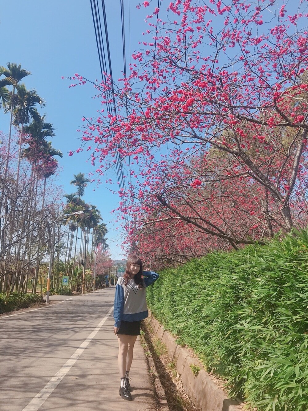 「春夏コーデ、オトナ女子、大学生」｜「H:CONNECTのアイテム（シャツ/ブラウス、ブルー系）」を使った、Liris Inspirit Kimさん（レディース・162cm）の春コーディネートの1枚目の写真