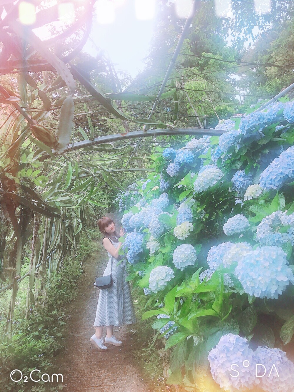 「賞花、花柄、花柄ワンピース、ootd、夏、洋裝、女人味、大学生、大人カジュアル」｜「ZARAのアイテム（シャツワンピース、ブルー系）」を使った、Liris Inspirit Kimさん（レディース・163cm）の夏コーディネートの1枚目の写真