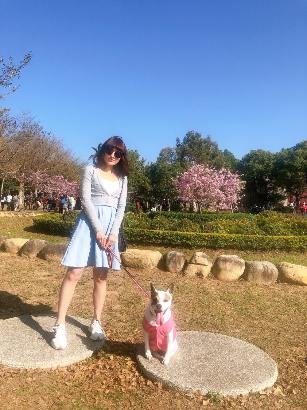 「ootd、球鞋、女人味、賞花、櫻花」｜「ZARAのアイテム（アンサンブル、グレー系）」を使った、Liris Inspirit Kimさん（レディース・162cm）の春コーディネートの1枚目の写真