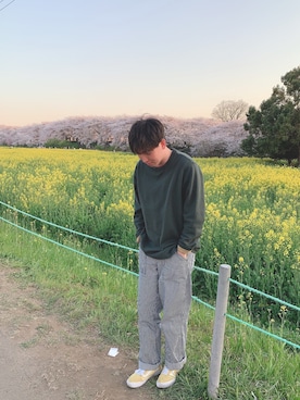 「Eddie Bauer（エディーバウアー）のアイテム（Tシャツ/カットソー）」を使った、わっかんびーさん（メンズ・173cm）の春コーディネート