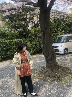 🐻さんのコーディネート