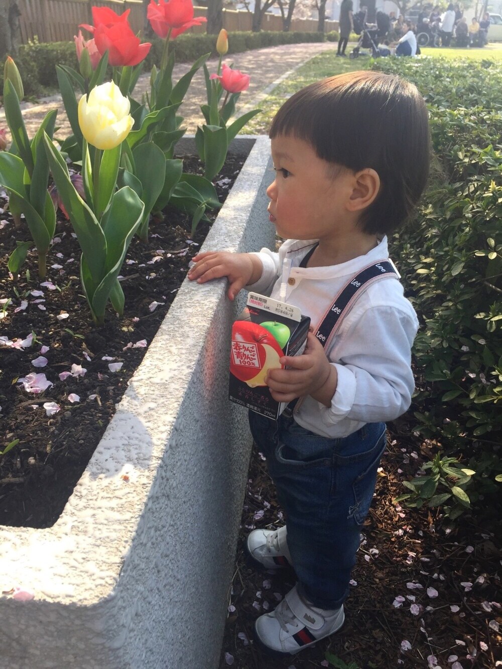 「1歳6ヶ月、男の子、boy、カジュアルコーデ、シンプルコーデ、サスペンダー、白シャツ、デニム、公園スタイル、お花見」｜「Leeのアイテム（サスペンダー、ブルー系）」を使った、R☺︎さん（キッズ・80cm）の春コーディネートの1枚目の写真