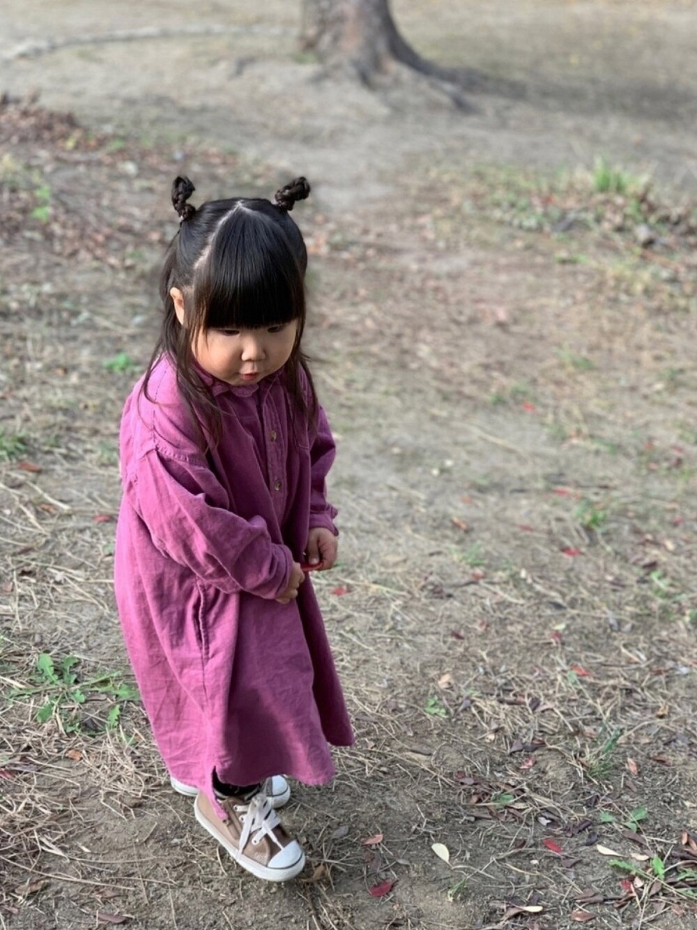 「リンクコーデ、リンクコーデし隊。、おやこーで。、おやこでお揃い、マーキーズ、シャツワンピ、パープル、2歳、きのこたけのこどっちのこ?!告知」｜「Ocean&Groundのアイテム（ワンピース/ドレス、パープル系）」を使った、♡MiKo♡さん（キッズ・90cm）の秋コーディネートの1枚目の写真