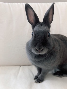 swhrkさんのコーディネート