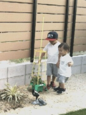 tamagoさんのコーディネート