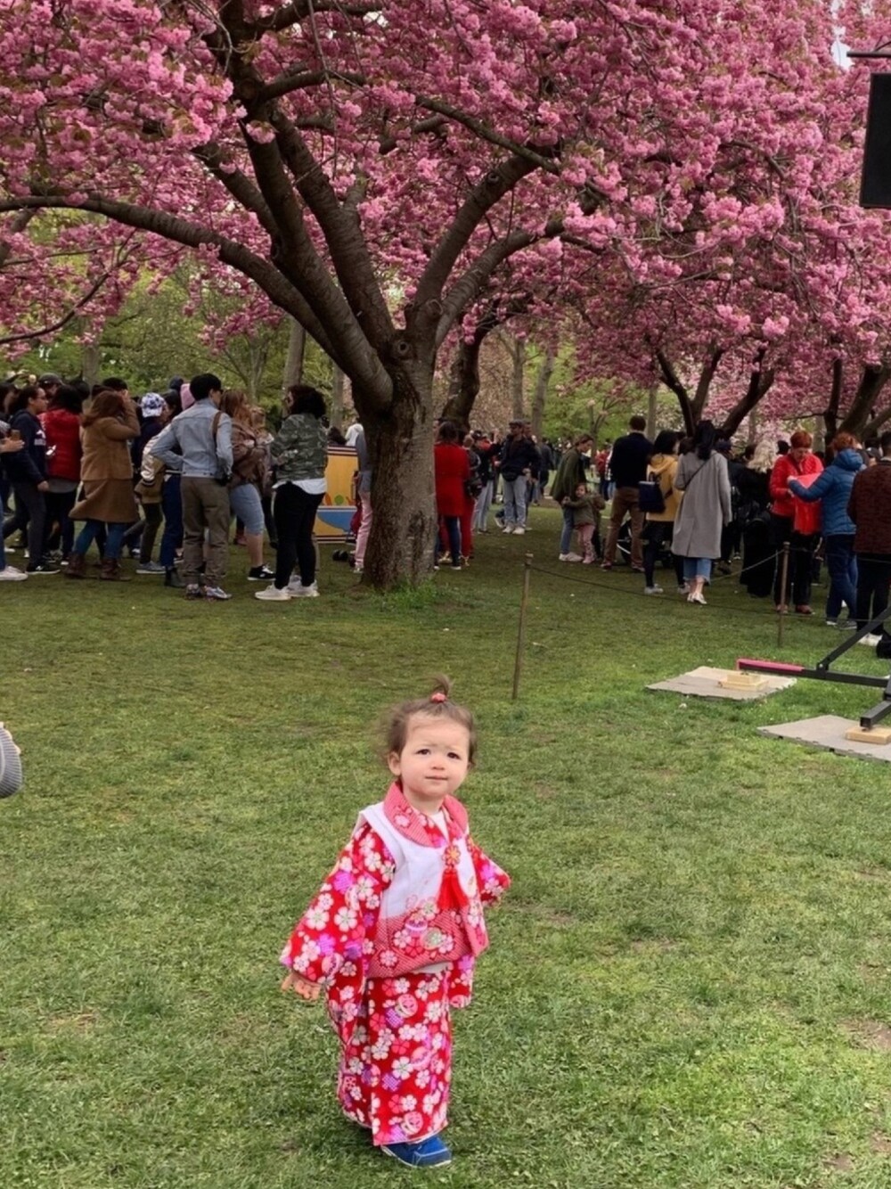 「spring、kimono、着物、colorful、floral、festival」｜「有限会社 萌黄のアイテム（浴衣、レッド系）」を使った、Brooklyn Baby さん（キッズ・74cm）の春コーディネートの1枚目の写真