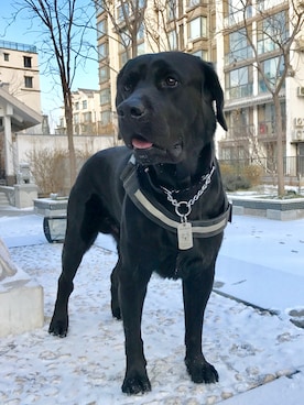 pilot330さんのコーディネート