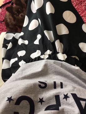 ycさん(レディース・158cm)の夏コーディネート