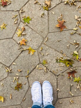 Michelleさんのコーディネート