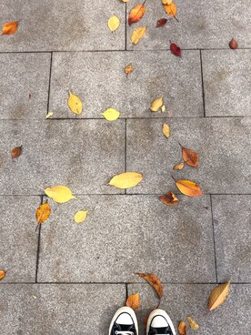 Michelleさんのコーディネート