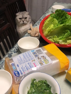 「银渐层轩轩桑のアイテム（その他、シルバー系）」を使った、幸福的猫奴さん（レディース・158cm）の冬コーディネート