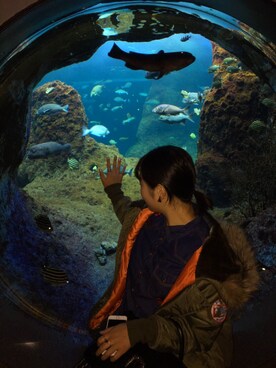 Kyokaさんのコーディネート