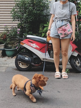 ziさんのコーディネート