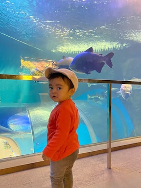 Atsukingさんのコーディネート