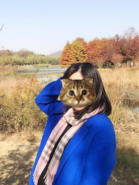 「UGG（アグ）のアイテム（オールインワン・サロペット）」を使った、mrslee0102さん（レディース・166cm）の秋コーディネート