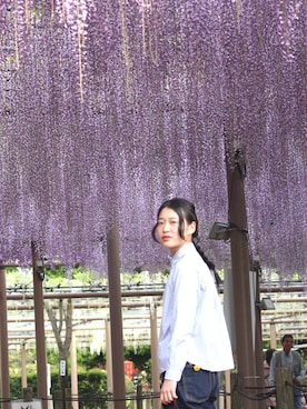 mihiroさんのコーディネート