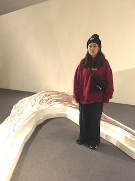 LIさんのコーディネート