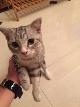 copperさんのコーディネート