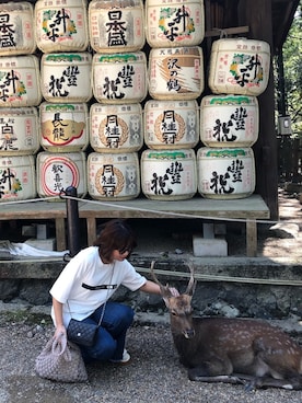 「旅遊」｜Joanneさん（レディース・156cm）の秋コーディネート
