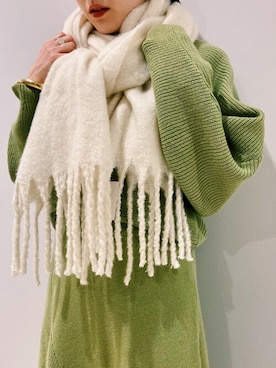 「アイテム（スカート、グリーン系）」を使った、ViS onlineさん（レディース・155cm）の秋コーディネート