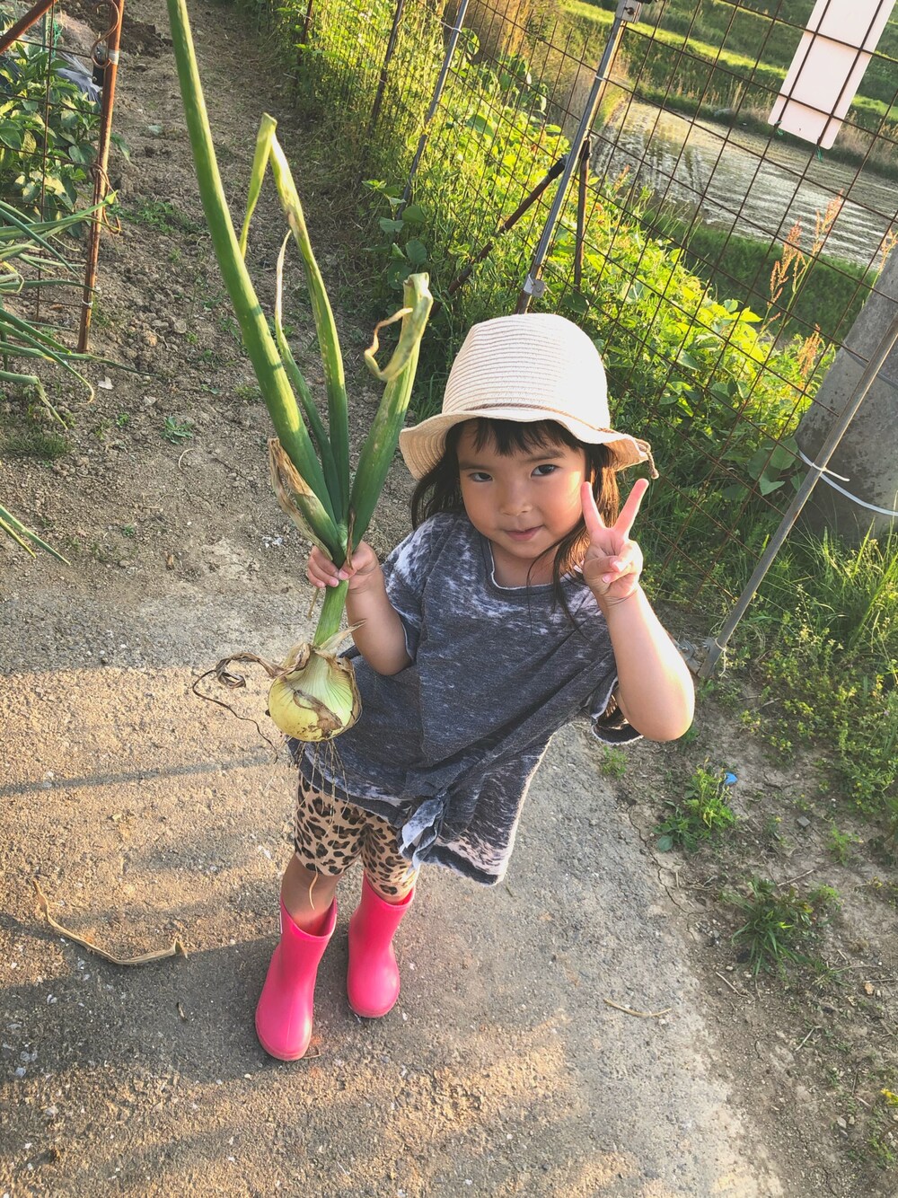 「田舎女子、畑仕事、お手伝い」｜「ZARAのアイテム（Tシャツ/カットソー、グレー系）」を使った、sastabyさん（キッズ・90cm）の春コーディネートの1枚目の写真