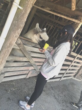 lizzieさんのコーディネート