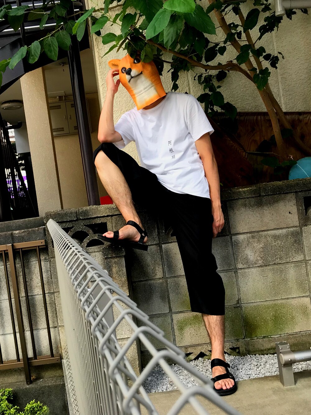 「休日スタイル、古着、犬、パロディT、スラックス、CALOLINE、suicoke、KATACHI」｜「古着（katachi）のアイテム（スラックス、ブラック系）」を使った、おしゃれ盛りの犬さん（メンズ・184cm）の夏コーディネートの1枚目の写真