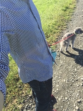 ひらたけさんのコーディネート