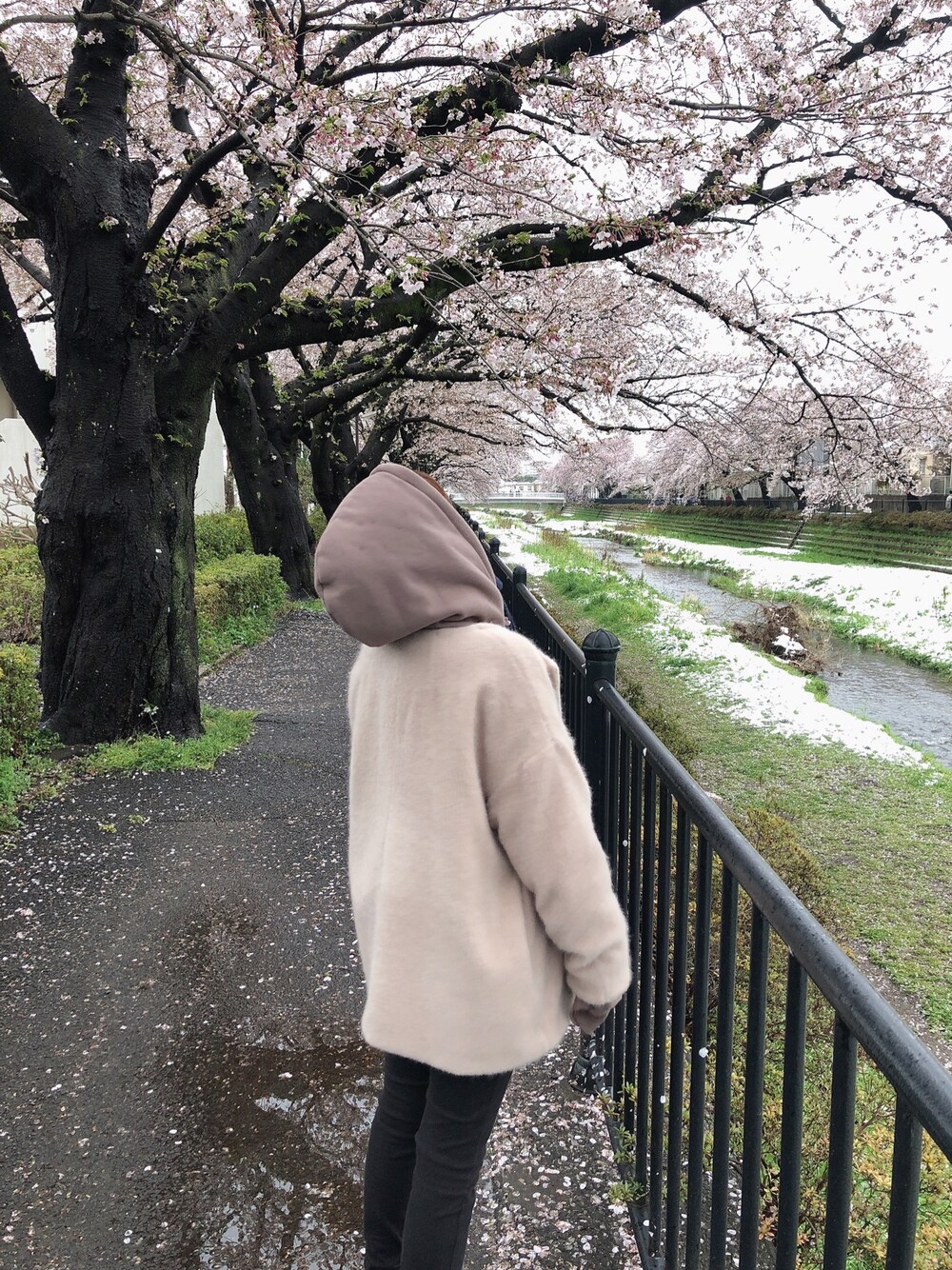 flower（フラワー）の「フラッフィーコート（ムートンコート）」 - WEAR