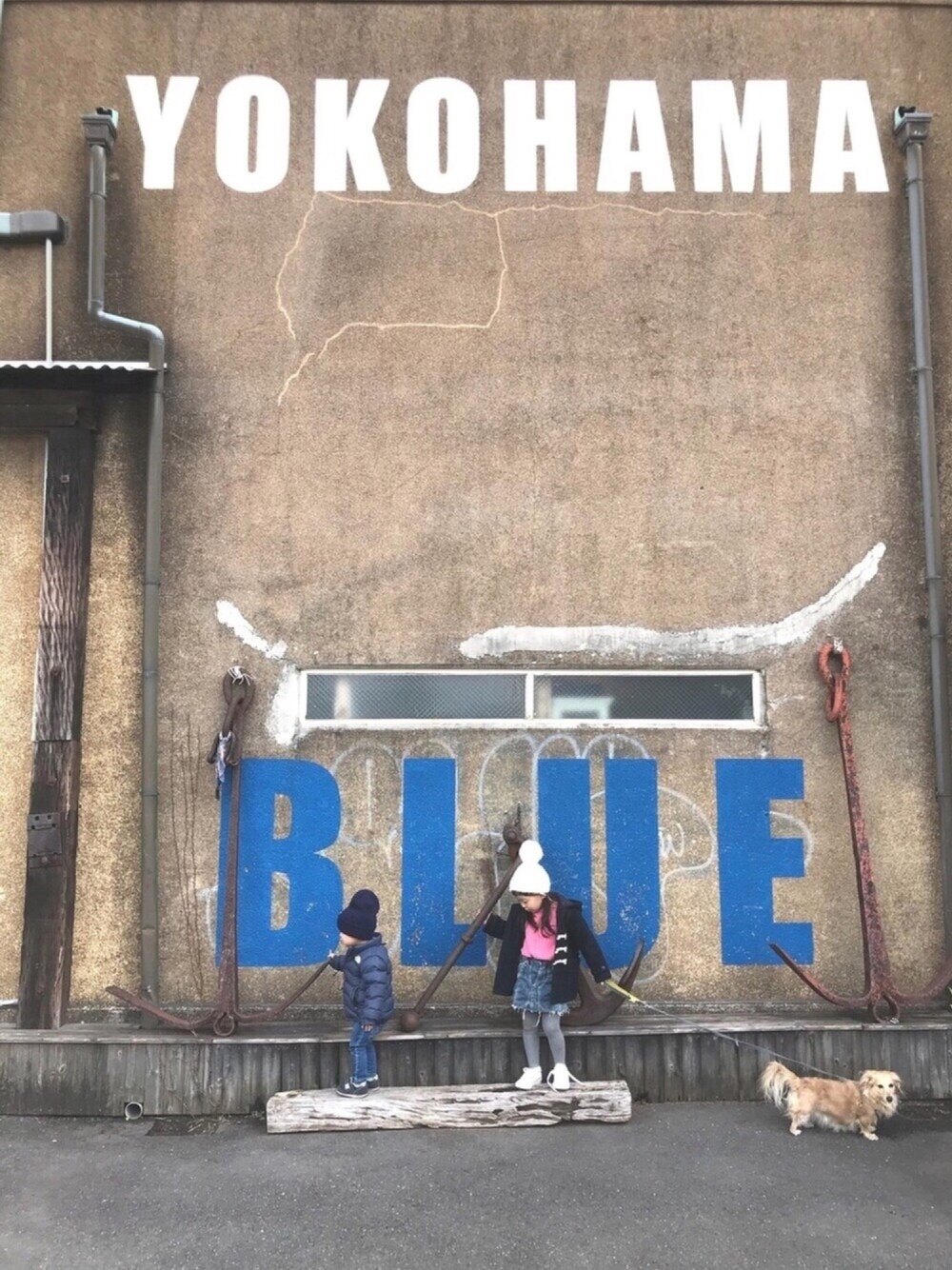 「2歳、男の子、男の子コーデ、4歳、女の子、女の子コーデ、converse、キッズコーデ」｜「THE NORTH FACEのザ・ノース・フェイス　ベビーダウンジャケット　/　アコンカグアジャケット（ダウンジャケット/コート、ブルー系）」を使った、kapoさん（キッズ・100cm）の冬コーディネートの1枚目の写真