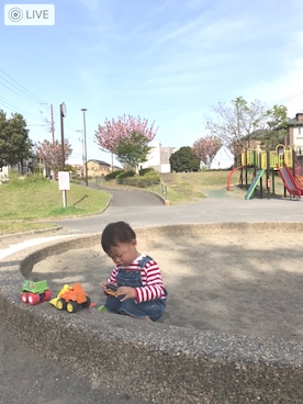 kapoさん(キッズ・100cm)の春コーディネート