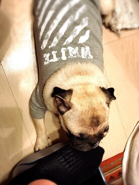 「off white（オフホワイト）のアイテム（その他トップス、グレー系）」を使った、shige   Dolla  ＄ignさん（メンズ・175cm）の冬コーディネート