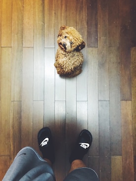 「アイテム（カーゴパンツ）」を使った、刘千さん（メンズ・178cm・30代）の夏コーディネート