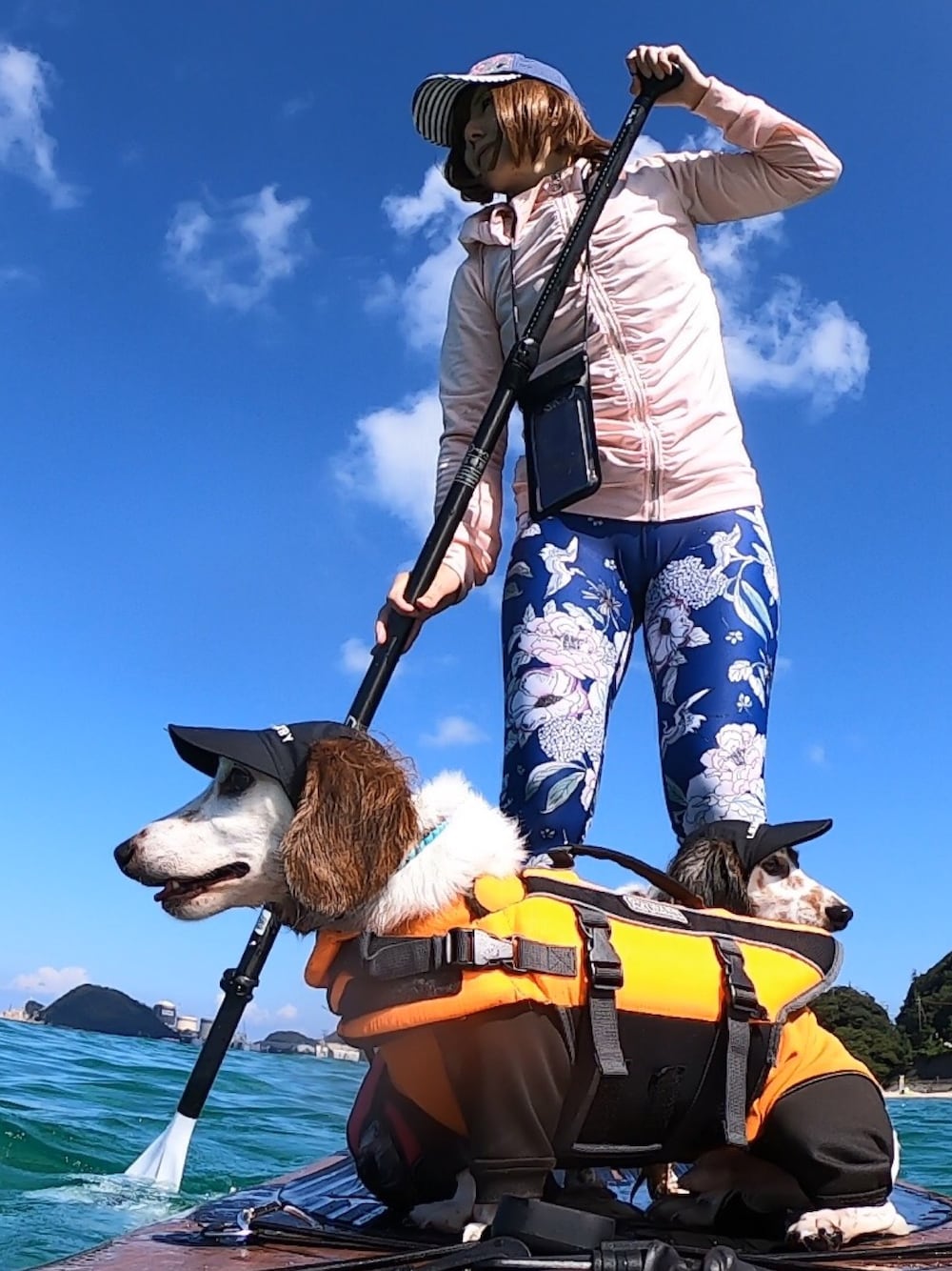 「sup、愛犬、ウィッグ、ヨガレギンス、キャップ、ラッシュガード」｜「ROXYのWAVES MACHINES（キャップ、ブルー系）」を使った、𝓮𝓽𝓼𝓾*さん（レディース・157cm）の夏コーディネートの1枚目の写真