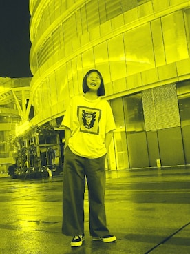 nzwdygzさんのコーディネート