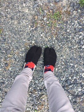 ねこさんのコーディネート