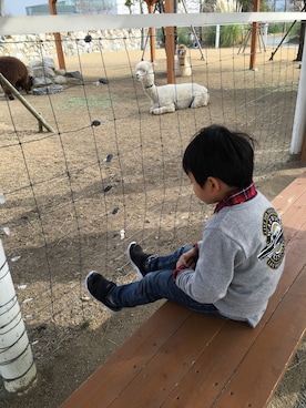 りくさんのコーディネート