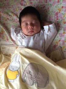 不明 | ロンパース